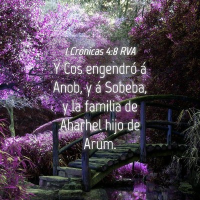 Picture 04 - 1 Crónicas 4:8 RVA - Y Cos engendró á Anob, y á Sobeba, y la - Bible Verse Picture