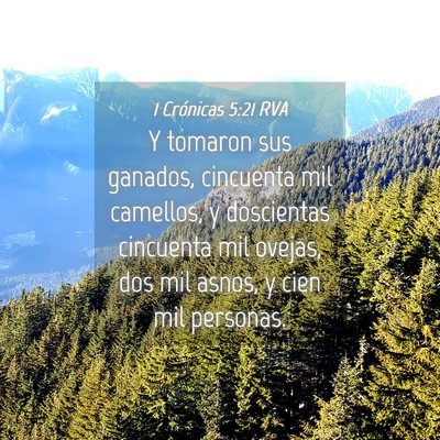 Picture 04 - 1 Crónicas 5:21 RVA - Y tomaron sus ganados, cincuenta mil camellos, y - Bible Verse Picture