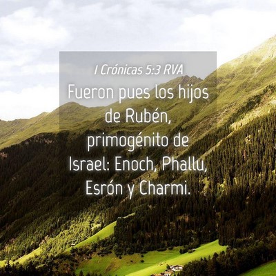 Picture 04 - 1 Crónicas 5:3 RVA - Fueron pues los hijos de Rubén, primogénito de - Bible Verse Picture