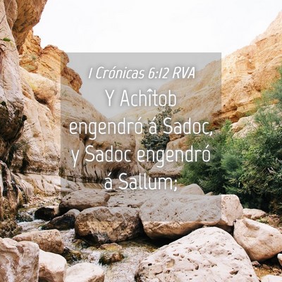 Picture 04 - 1 Crónicas 6:12 RVA - Y Achîtob engendró á Sadoc, y Sadoc engendró - Bible Verse Picture