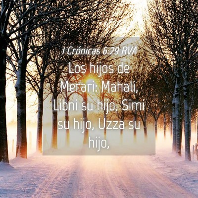 Picture 04 - 1 Crónicas 6:29 RVA - Los hijos de Merari: Mahali, Libni su hijo, Simi - Bible Verse Picture