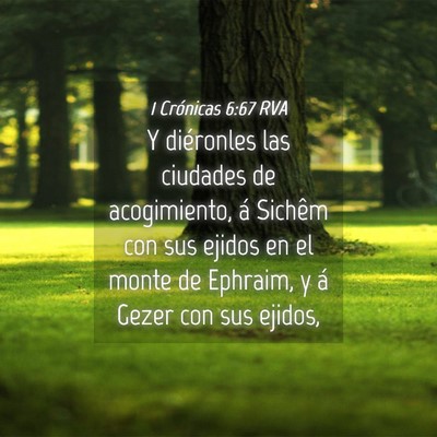 Picture 04 - 1 Crónicas 6:67 RVA - Y diéronles las ciudades de acogimiento, á - Bible Verse Picture