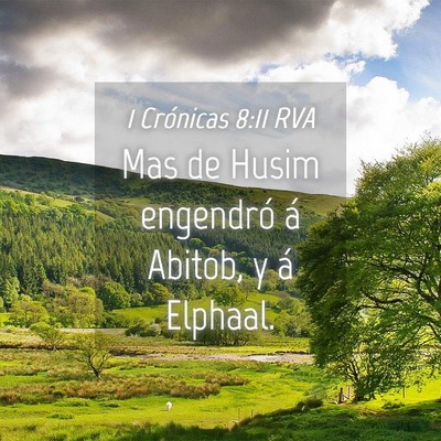 Picture 04 - 1 Crónicas 8:11 RVA - Mas de Husim engendró á Abitob, y á - Bible Verse Picture