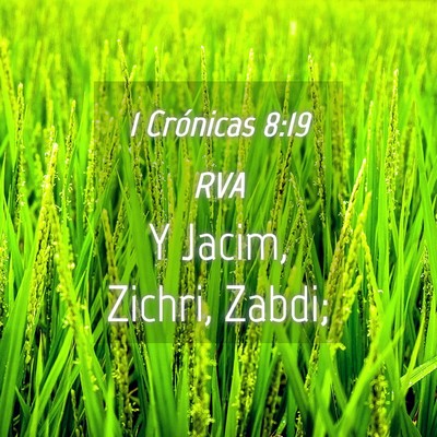 Picture 04 - 1 Crónicas 8:19 RVA - Y Jacim, Zichri, - Bible Verse Picture