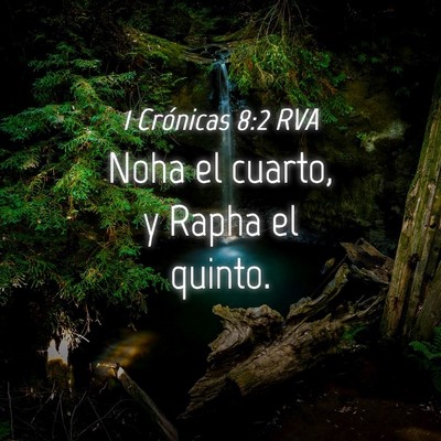 Picture 04 - 1 Crónicas 8:2 RVA - Noha el cuarto, y Rapha el - Bible Verse Picture