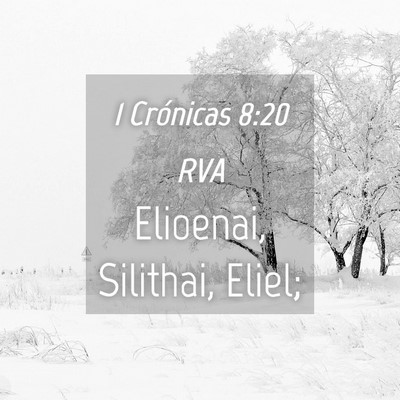 Picture 04 - 1 Crónicas 8:20 RVA - Elioenai, Silithai, - Bible Verse Picture