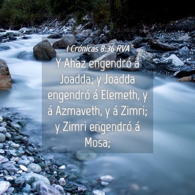 Picture 04 - 1 Crónicas 8:36 RVA - Y Ahaz engendró á Joadda; y Joadda engendró á - Bible Verse Picture