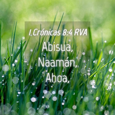 Picture 04 - 1 Crónicas 8:4 RVA - Abisua, Naamán, - Bible Verse Picture