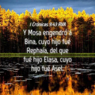 Picture 04 - 1 Crónicas 9:43 RVA - Y Mosa engendró á Bina, cuyo hijo fué - Bible Verse Picture