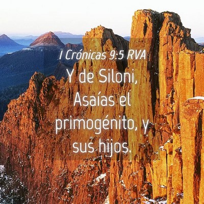 Picture 04 - 1 Crónicas 9:5 RVA - Y de Siloni, Asaías el primogénito, y sus - Bible Verse Picture