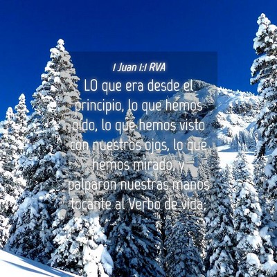 Picture 04 - 1 Juan 1:1 RVA - LO que era desde el principio, lo que hemos - Bible Verse Picture