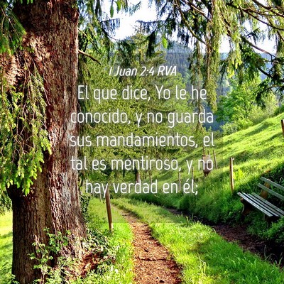 Picture 04 - 1 Juan 2:4 RVA - El que dice, Yo le he conocido, y no guarda sus - Bible Verse Picture