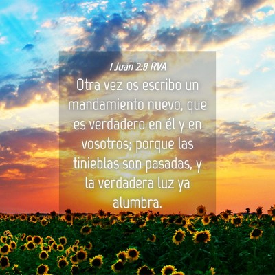 Picture 04 - 1 Juan 2:8 RVA - Otra vez os escribo un mandamiento nuevo, que es - Bible Verse Picture