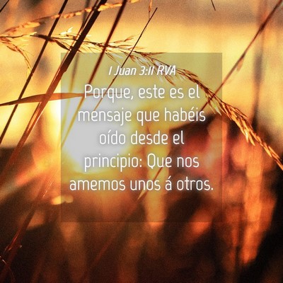 Picture 04 - 1 Juan 3:11 RVA - Porque, este es el mensaje que habéis oído - Bible Verse Picture