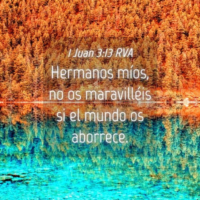 Picture 04 - 1 Juan 3:13 RVA - Hermanos míos, no os maravilléis si el mundo os - Bible Verse Picture