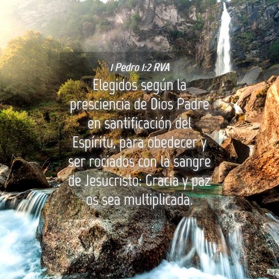 Picture 04 - 1 Pedro 1:2 RVA - Elegidos según la presciencia de Dios Padre en - Bible Verse Picture