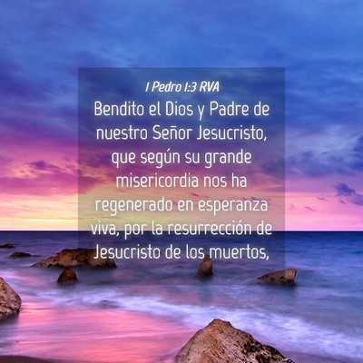 Picture 04 - 1 Pedro 1:3 RVA - Bendito el Dios y Padre de nuestro Señor - Bible Verse Picture
