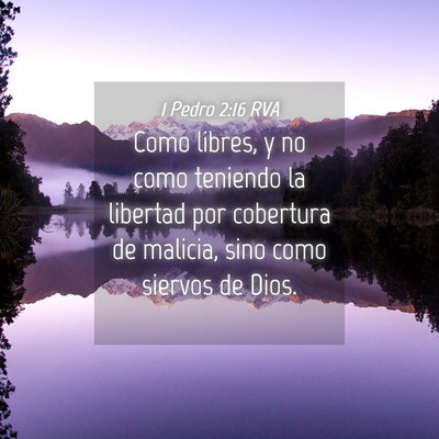 Picture 04 - 1 Pedro 2:16 RVA - Como libres, y no como teniendo la libertad por - Bible Verse Picture