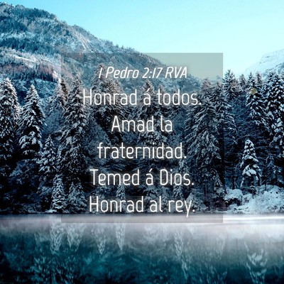 Picture 04 - 1 Pedro 2:17 RVA - Honrad á todos. Amad la fraternidad. Temed á - Bible Verse Picture