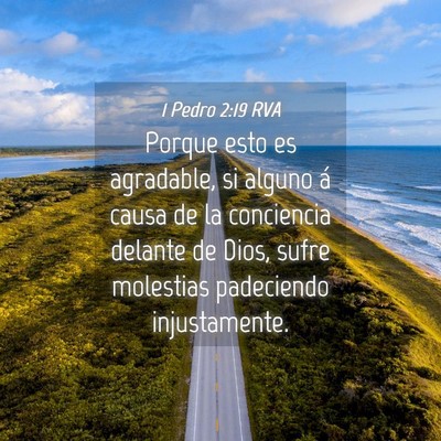 Picture 04 - 1 Pedro 2:19 RVA - Porque esto es agradable, si alguno á causa de - Bible Verse Picture