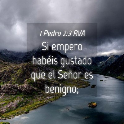 Picture 04 - 1 Pedro 2:3 RVA - Si empero habéis gustado que el Señor es - Bible Verse Picture