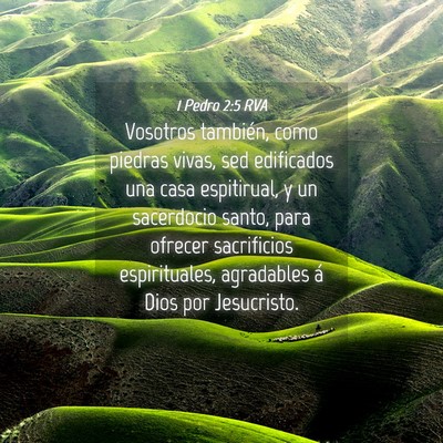 Picture 04 - 1 Pedro 2:5 RVA - Vosotros también, como piedras vivas, sed - Bible Verse Picture