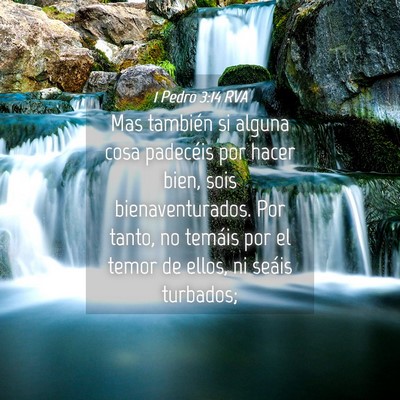 Picture 04 - 1 Pedro 3:14 RVA - Mas también si alguna cosa padecéis por hacer - Bible Verse Picture