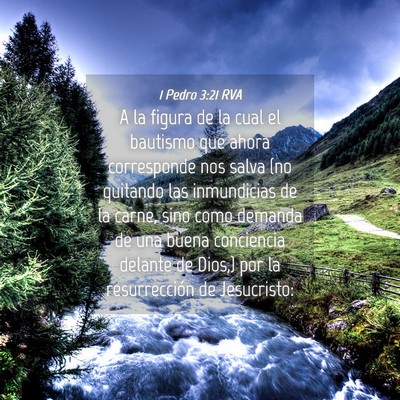 Picture 04 - 1 Pedro 3:21 RVA - A la figura de la cual el bautismo que ahora - Bible Verse Picture