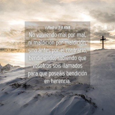 Picture 04 - 1 Pedro 3:9 RVA - No volviendo mal por mal, ni maldición por - Bible Verse Picture