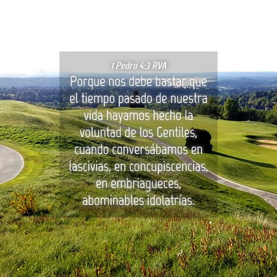 Picture 04 - 1 Pedro 4:3 RVA - Porque nos debe bastar que el tiempo pasado de - Bible Verse Picture