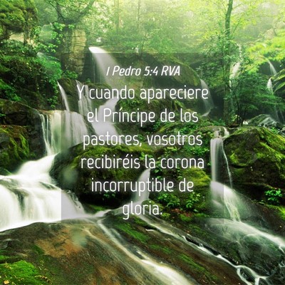 Picture 04 - 1 Pedro 5:4 RVA - Y cuando apareciere el Príncipe de los pastores, - Bible Verse Picture