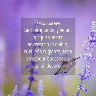 Picture 04 - 1 Pedro 5:8 RVA - Sed templados, y velad; porque vuestro adversario - Bible Verse Picture