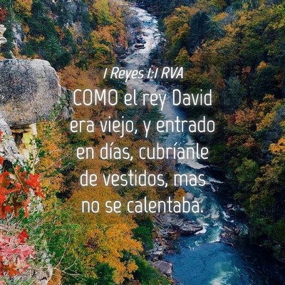 Picture 04 - 1 Reyes 1:1 RVA - COMO el rey David era viejo, y entrado en días, - Bible Verse Picture
