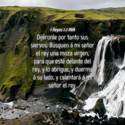 Picture 04 - 1 Reyes 1:2 RVA - Dijéronle por tanto sus siervos: Busquen á mi - Bible Verse Picture
