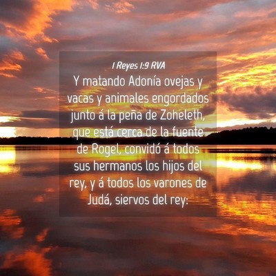 Picture 04 - 1 Reyes 1:9 RVA - Y matando Adonía ovejas y vacas y animales - Bible Verse Picture