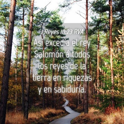 Picture 04 - 1 Reyes 10:23 RVA - Así excedía el rey Salomón á todos los reyes - Bible Verse Picture
