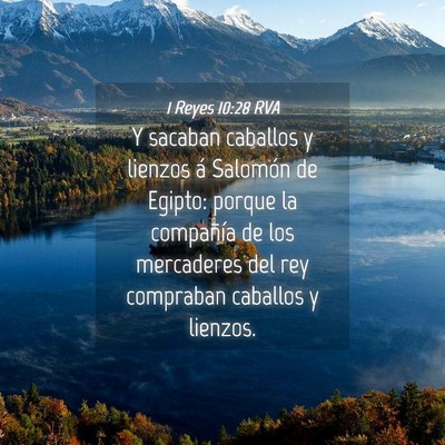 Picture 04 - 1 Reyes 10:28 RVA - Y sacaban caballos y lienzos á Salomón de - Bible Verse Picture