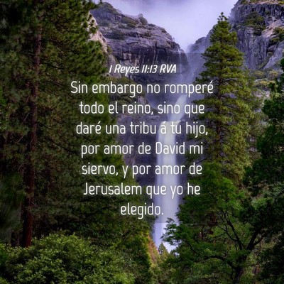 Picture 04 - 1 Reyes 11:13 RVA - Sin embargo no romperé todo el reino, sino que - Bible Verse Picture