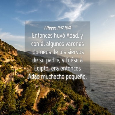 Picture 04 - 1 Reyes 11:17 RVA - Entonces huyó Adad, y con él algunos varones - Bible Verse Picture