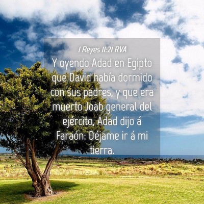 Picture 04 - 1 Reyes 11:21 RVA - Y oyendo Adad en Egipto que David había dormido - Bible Verse Picture