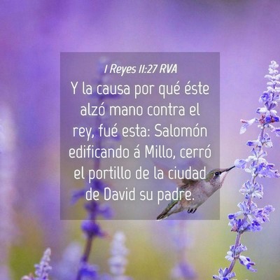 Picture 04 - 1 Reyes 11:27 RVA - Y la causa por qué éste alzó mano contra el - Bible Verse Picture