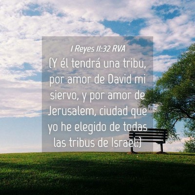 Picture 04 - 1 Reyes 11:32 RVA - (Y él tendrá una tribu, por amor de David mi - Bible Verse Picture