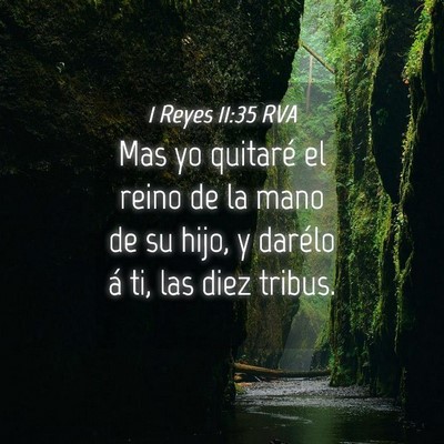 Picture 04 - 1 Reyes 11:35 RVA - Mas yo quitaré el reino de la mano de su hijo, y - Bible Verse Picture