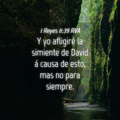 Picture 04 - 1 Reyes 11:39 RVA - Y yo afligiré la simiente de David á causa de - Bible Verse Picture