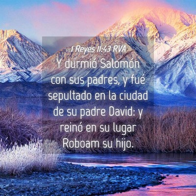 Picture 04 - 1 Reyes 11:43 RVA - Y durmió Salomón con sus padres, y fué - Bible Verse Picture