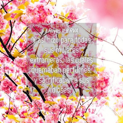 Picture 04 - 1 Reyes 11:8 RVA - Y así hizo para todas sus mujeres extranjeras, - Bible Verse Picture