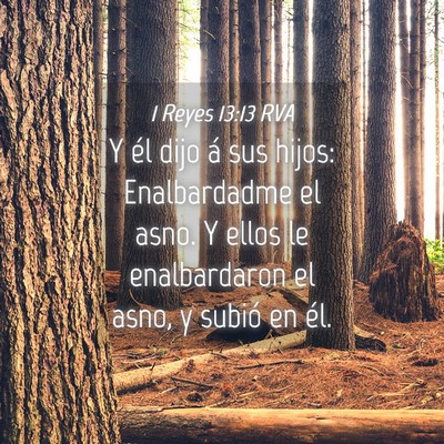 Picture 04 - 1 Reyes 13:13 RVA - Y él dijo á sus hijos: Enalbardadme el asno. Y - Bible Verse Picture
