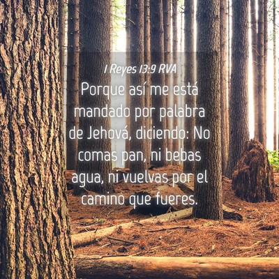 Picture 04 - 1 Reyes 13:9 RVA - Porque así me está mandado por palabra de - Bible Verse Picture