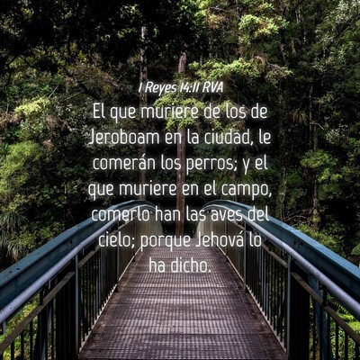 Picture 04 - 1 Reyes 14:11 RVA - El que muriere de los de Jeroboam en la ciudad, - Bible Verse Picture