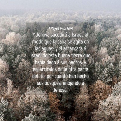 Picture 04 - 1 Reyes 14:15 RVA - Y Jehová sacudirá á Israel, al modo que la - Bible Verse Picture